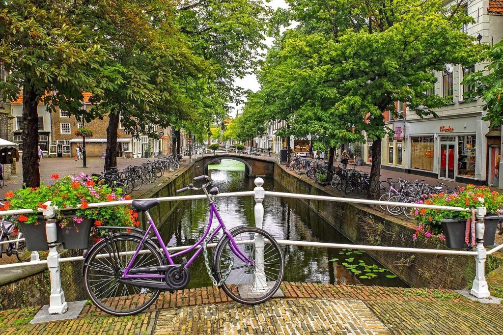 Roosendaal nieuws en gebeurtenissen: bruisende stad met lokale evenementen, markt en culturele activiteiten